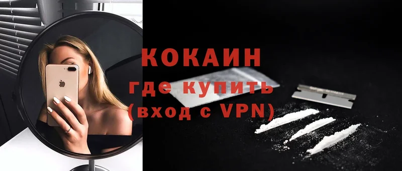 Cocaine Fish Scale  как найти закладки  Нарьян-Мар 