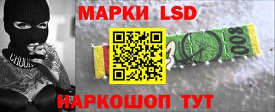 стаф Бугуруслан