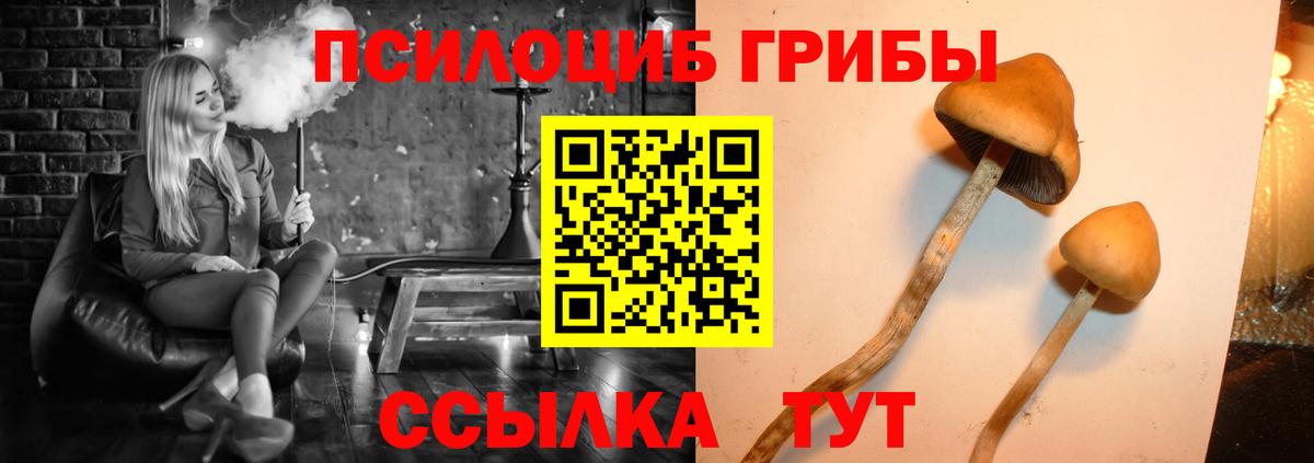 Псилоцибиновые грибы GOLDEN TEACHER Нарьян-Мар