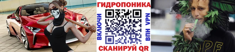 где найти   Нарьян-Мар  Бошки Шишки MAZAR 